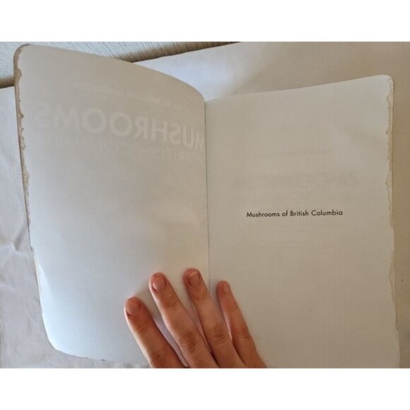 Mushrooms of British Columbia Field Guide Identification Handbook MacKinnon Andy - Picture 5 of 16